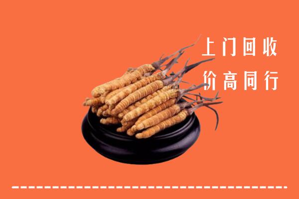 高价求购：东莞沙田镇回收散虫草