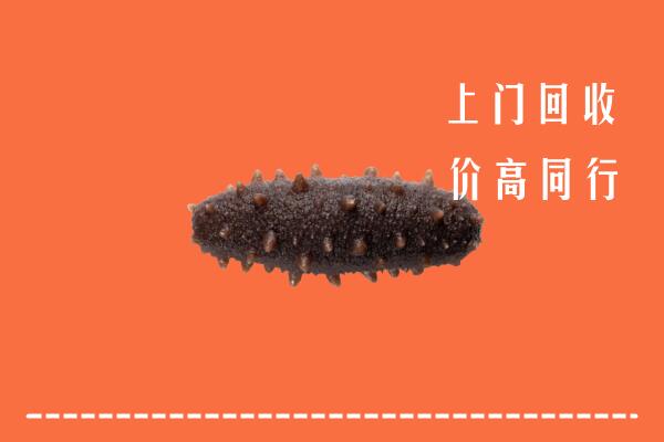 高价求购：东莞沙田镇回收海参